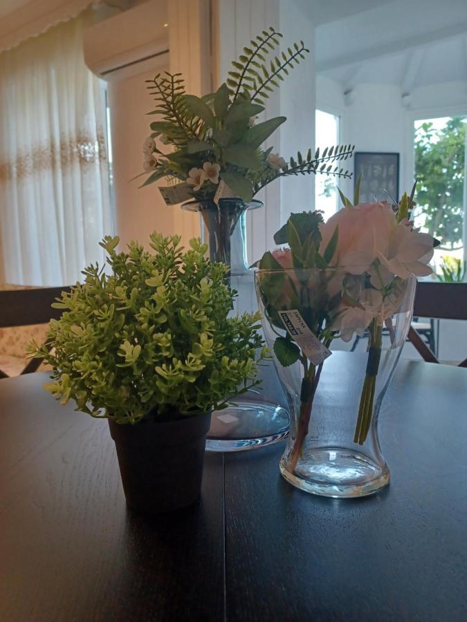Nuevo Loft El Carpintero Apartment Vejer de la Frontera Bagian luar foto